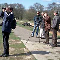 Vogelbeobachter